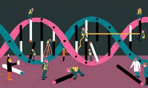 Biology, Grade 12 (SBI4U)