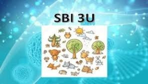 Biology, Grade 11 (SBI3U)