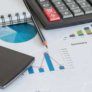 Financial Accounting Fundamentals, Grade 11 (BAF3M)
