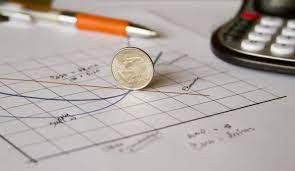 The Individual and the Economy, Grade 11 (CIE3M)